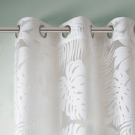 white-50x63",white-50x84",white-50x95"