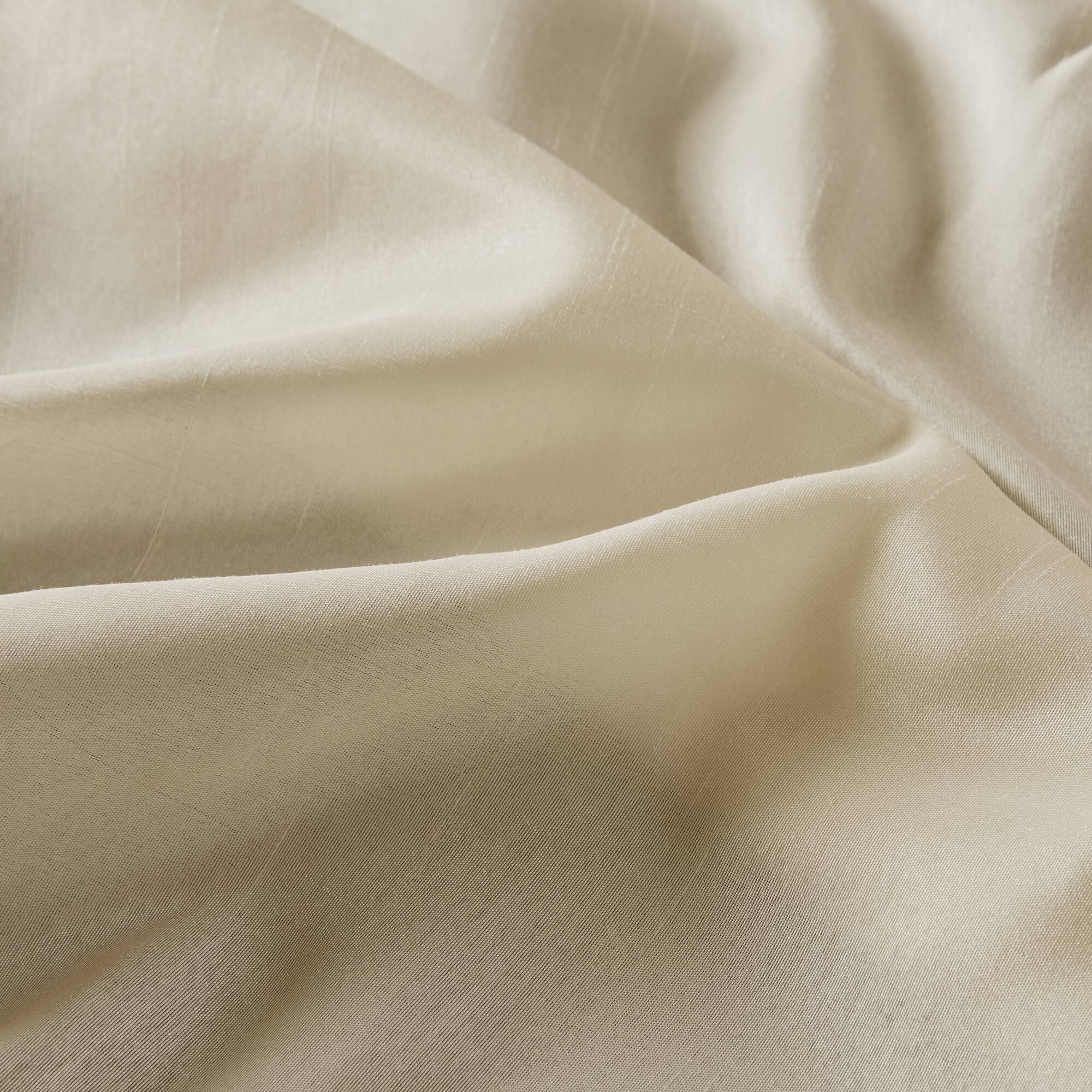 ivory-72x72"