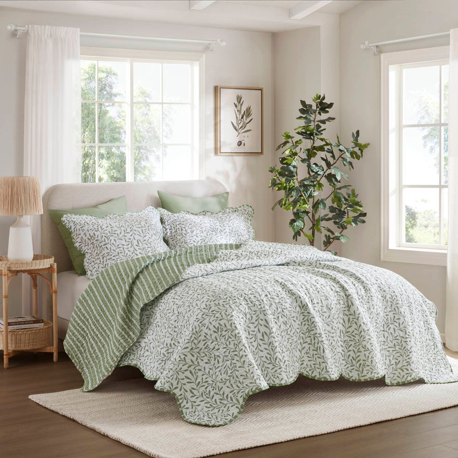 sage green-king,sage green-full/queen